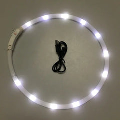 Luminous Pet Collar